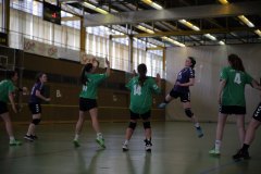 IMG_0245