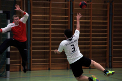 Spieltag Männer 2: SG Ulm & Wiblingen 2 - TG Biberach 3, 23.1.16