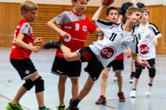 IMG_3912