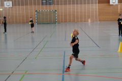 DSC06291
