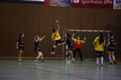 IMG_1851