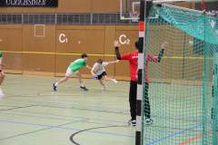 gD1_Schnaitheim0012