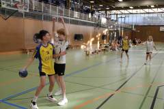 gD2_Illertal_20250017