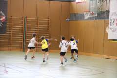 gD2_Illertal_20250021