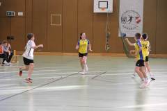 gD2_Illertal_20250023