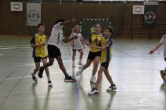 gD2_Illertal_20250028
