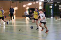 gD2_Illertal_20250040