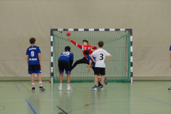 gemischte D-Jugend gegen HC Hard