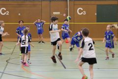 IMG_4071