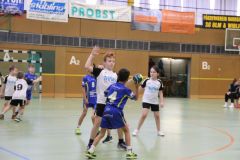 IMG_4221