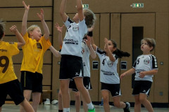 17-20211017-vmondine-Handball_Laichingen-0204
