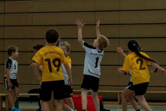 21-20211017-vmondine-Handball_Laichingen-0282