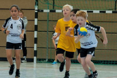 29-20211017-vmondine-Handball_Laichingen-0478