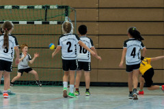 34-20211017-vmondine-Handball_Laichingen-0620