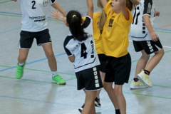 56-20211017-vmondine-Handball_Laichingen-0938