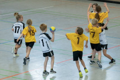 57-20211017-vmondine-Handball_Laichingen-0976