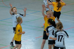 59-20211017-vmondine-Handball_Laichingen-0986