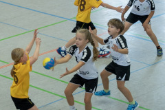 62-20211017-vmondine-Handball_Laichingen-1038