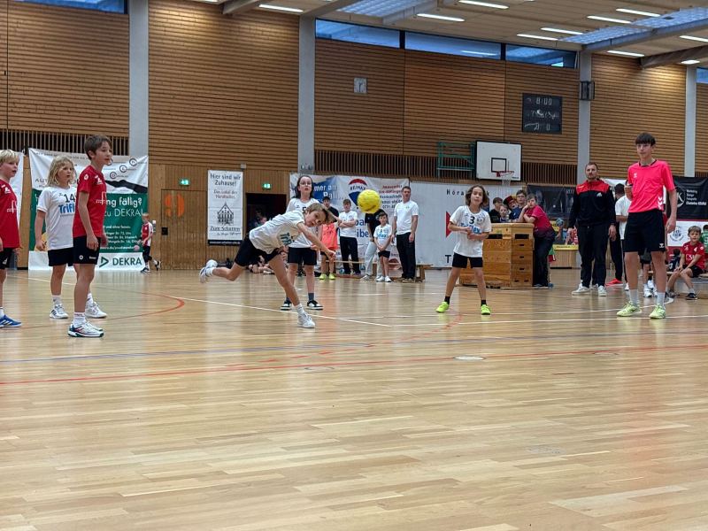 Handball_WM_2025_0007