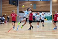 Handball_WM_2025_0006