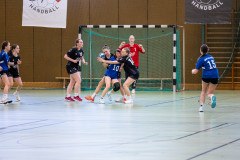 6H0A3168
