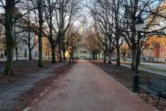 IMG-20240101-WA0225
