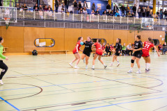 6H0A3603
