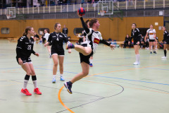 6H0A6126
