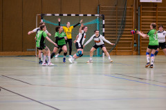 6H0A9054