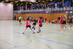 Spieltag Frauen 1: SGU - HCL Vogt - 14.10.2023