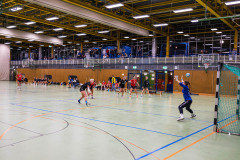 6H0A0303