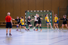 6H0A1329
