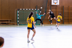 6H0A1424