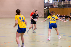 6H0A1520