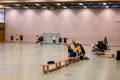 6H0A1528