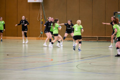 6H0A0227