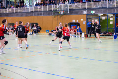 6H0A4326