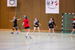 6H0A9213