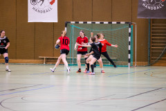 6H0A9290