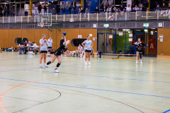 6H0A2607