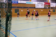 6H0A3163