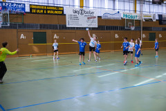 6H0A4602