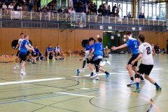 6H0A6517