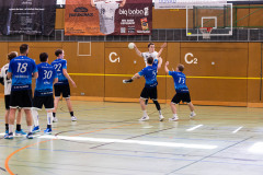 6H0A6619
