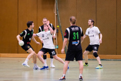 6H0A1130