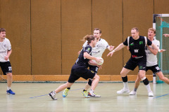 6H0A1137