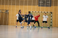 Spieltag Männer 1: SGU - HSG Langenau/Elchingen - 11.04.2022