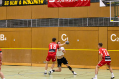 6H0A8447