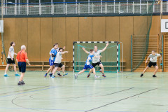 6H0A2779