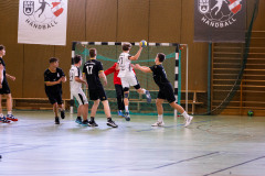 6H0A3951